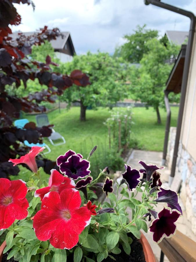Villa House Amalia Bled Exterior foto